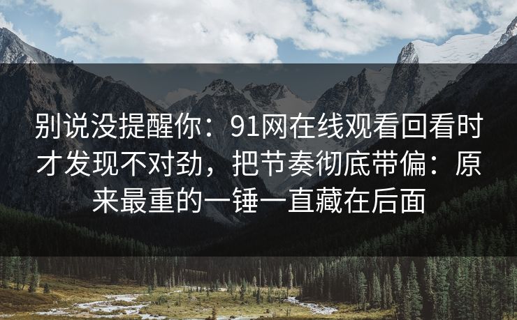 别说没提醒你：91网在线观看回看时才发现不对劲，把节奏彻底带偏：原来最重的一锤一直藏在后面